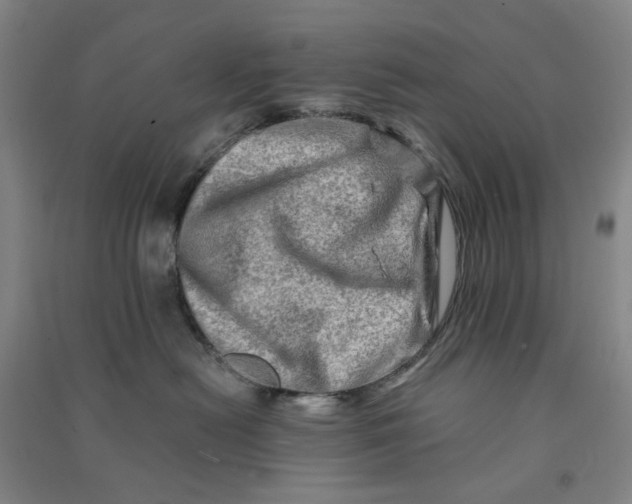 X0000090930478200708201832