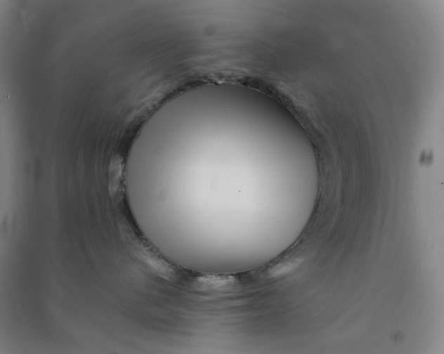 X0000090930480200708201832