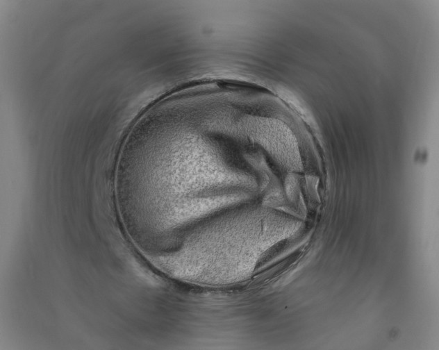 X0000090930481200708201832