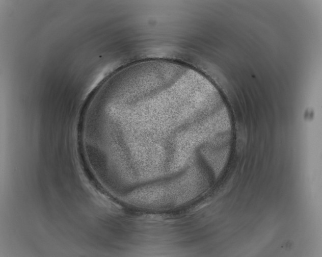 X0000090930482200708201832