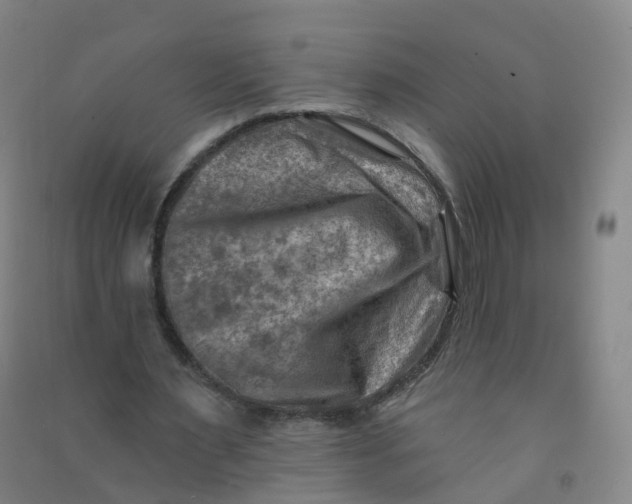 X0000090930483200708201832