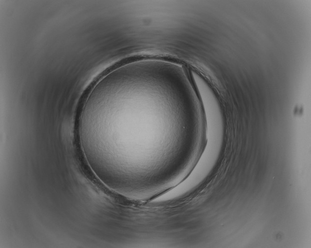 X0000090930484200708201832