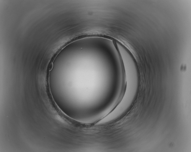 X0000090930485200708201832