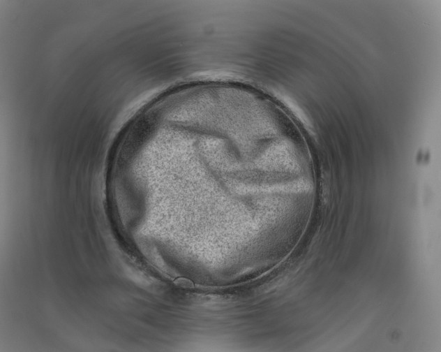 X0000090930486200708201832