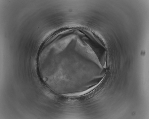 X0000090930487200708201832