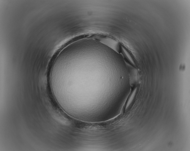 X0000090930488200708201832