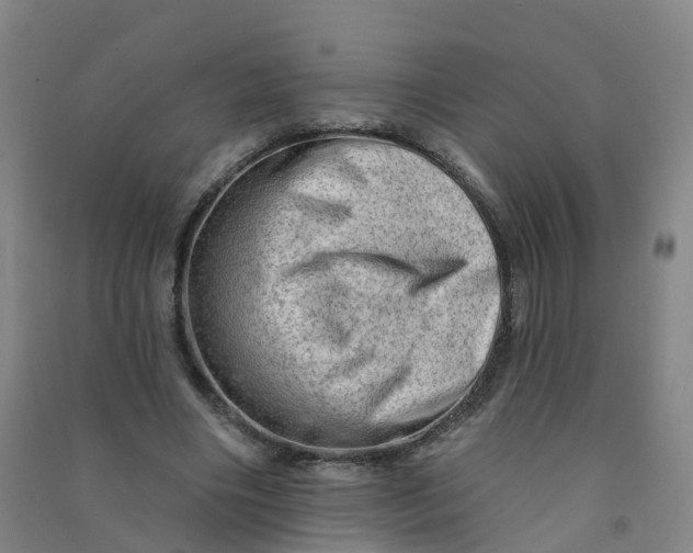 X0000090930490200708201832