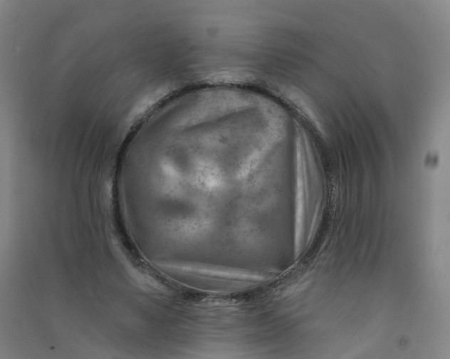 X0000090930491200708201832