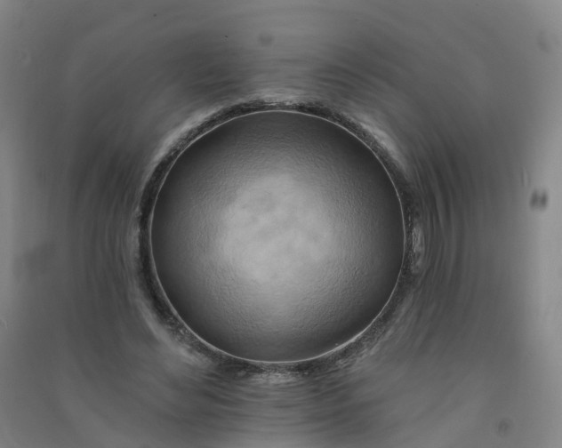 X0000090930492200708201832