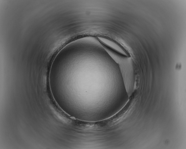 X0000090930493200708201832