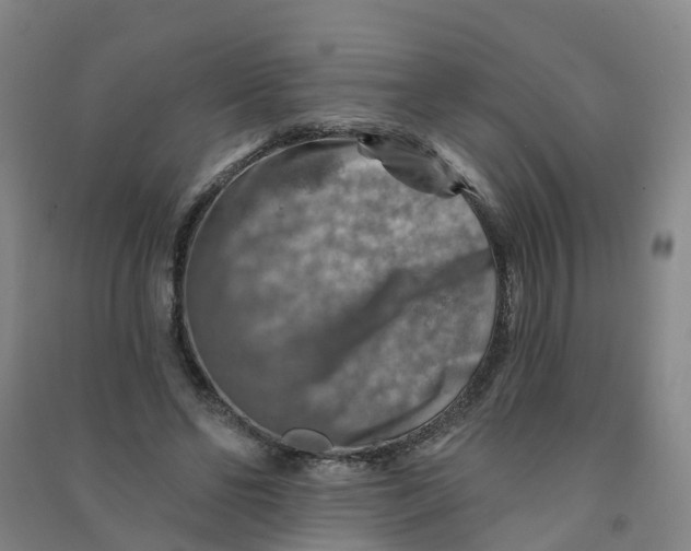 X0000090930494200708201832