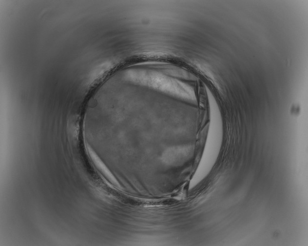 X0000090930495200708201832