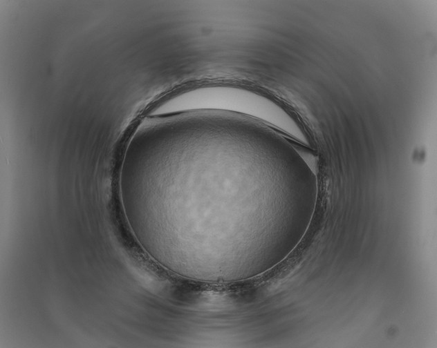 X0000090930496200708201831