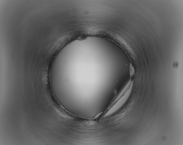 X0000090930497200708201831