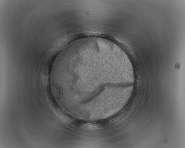 X0000090930498200708201831