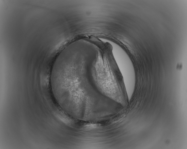 X0000090930499200708201831