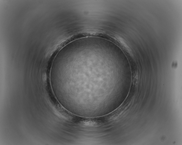 X0000090930500200708201831