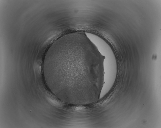 X0000090930501200708201831