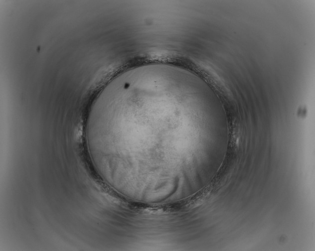 X0000090930502200708201831