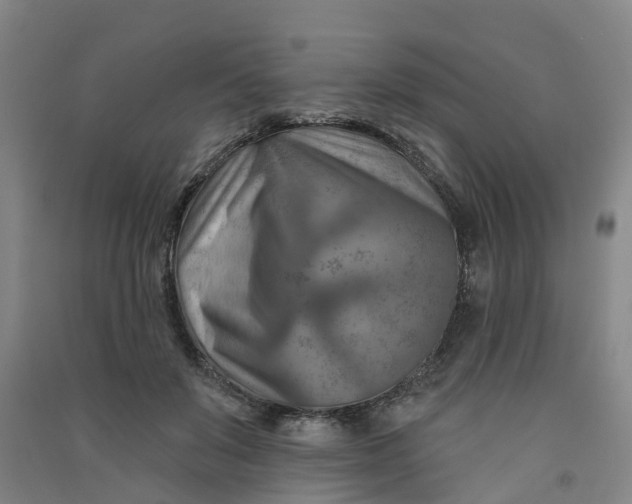 X0000090930503200708201831