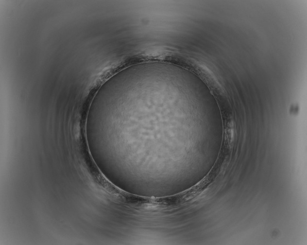 X0000090930504200708201831