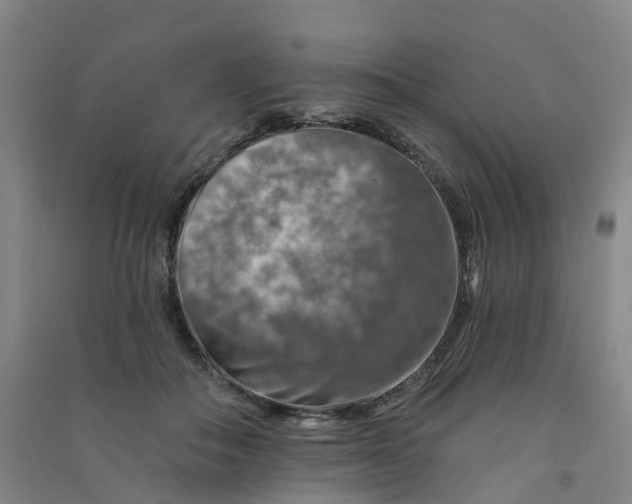 X0000090930506200708201831