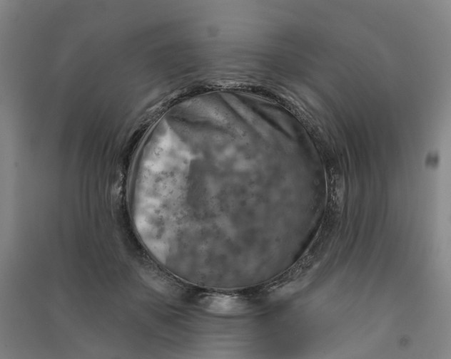 X0000090930507200708201831