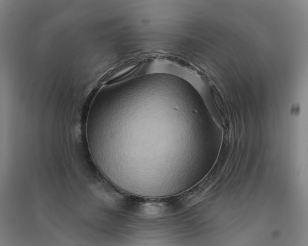 X0000090930508200708201831