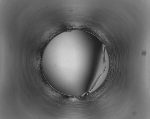 X0000090930509200708201831