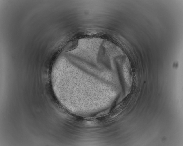 X0000090930510200708201831