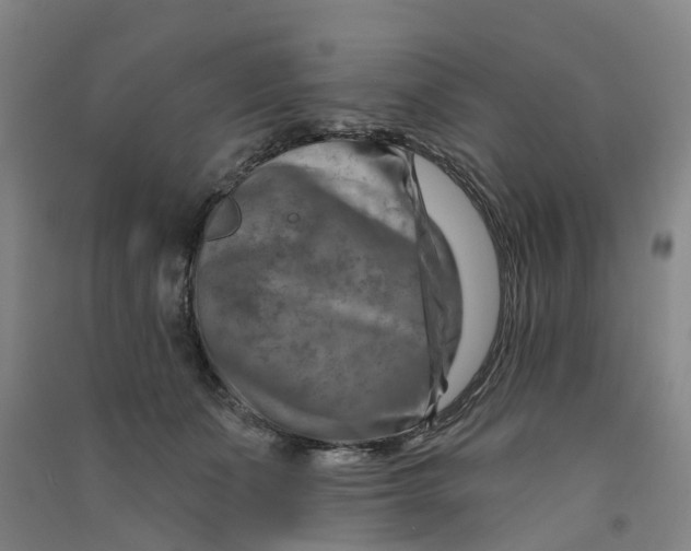 X0000090930511200708201831