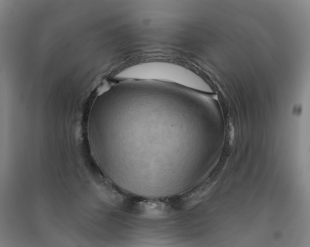 X0000090930512200708201831