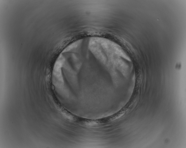 X0000090930513200708201831