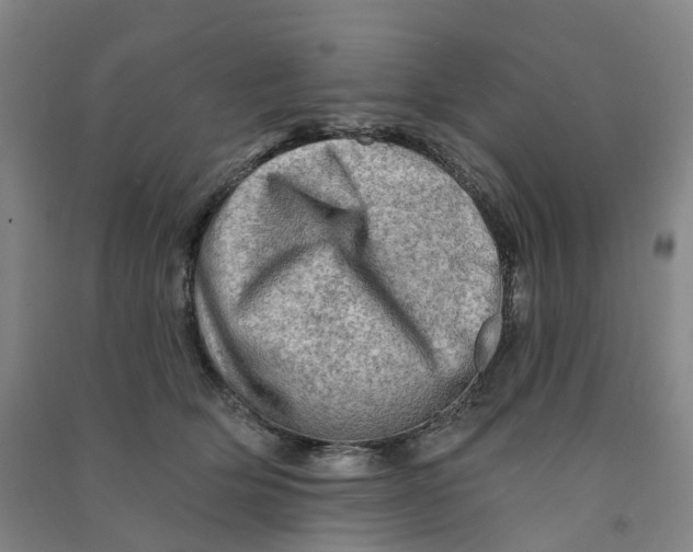 X0000090930514200708201831