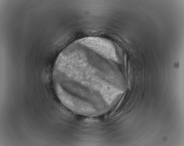 X0000090930515200708201831