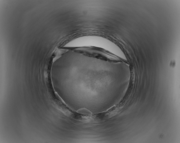 X0000090930516200708201831