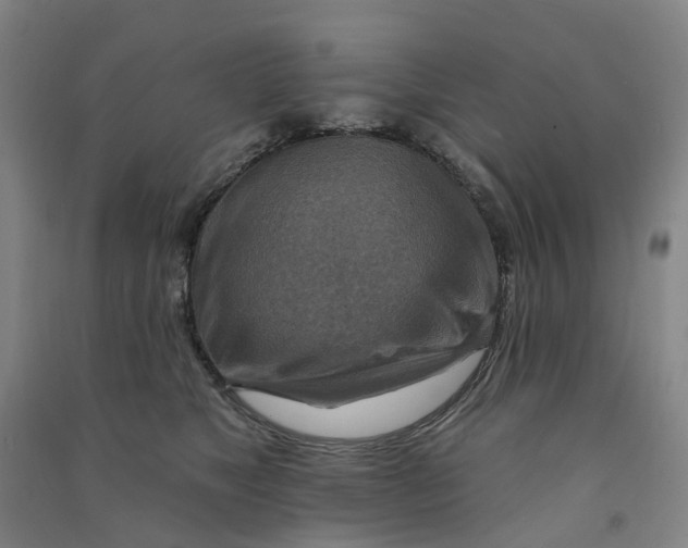 X0000090930517200708201831