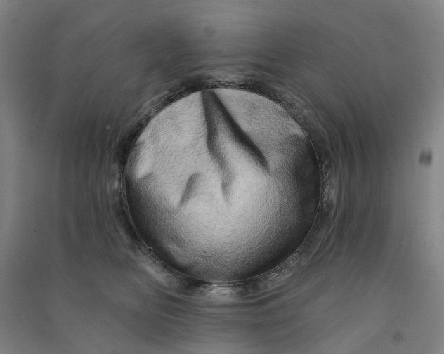 X0000090930518200708201831