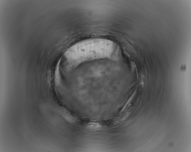 X0000090930519200708201831