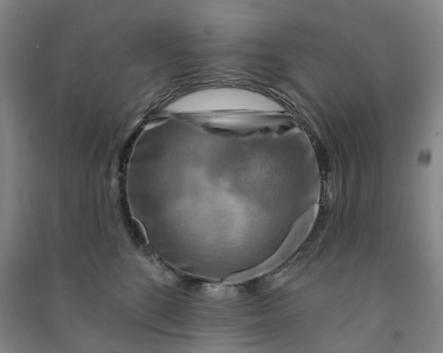 X0000090930520200708201831