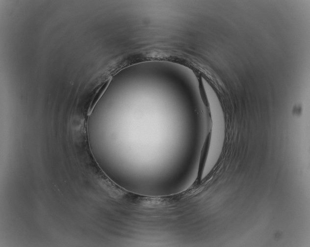 X0000090930521200708201831