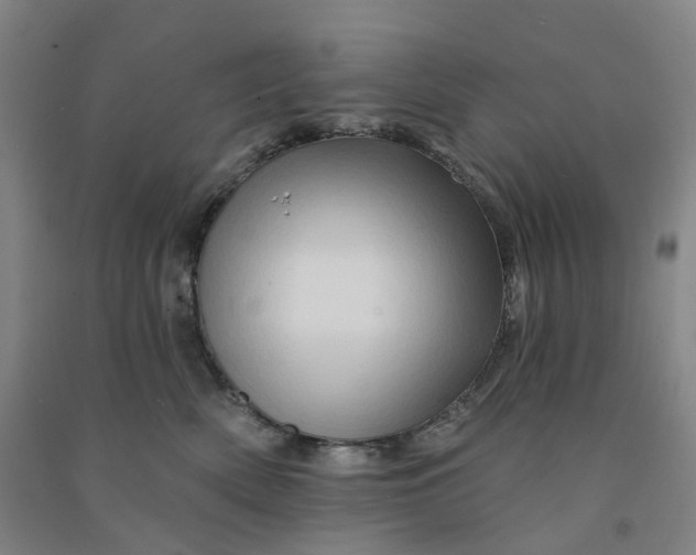 X0000090930522200708201831