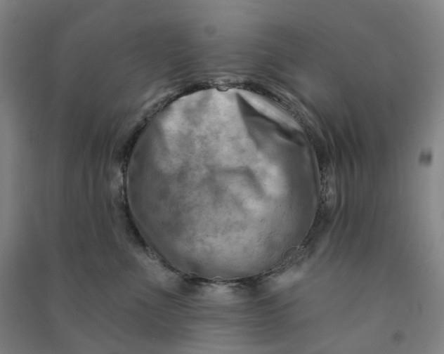 X0000090930523200708201831