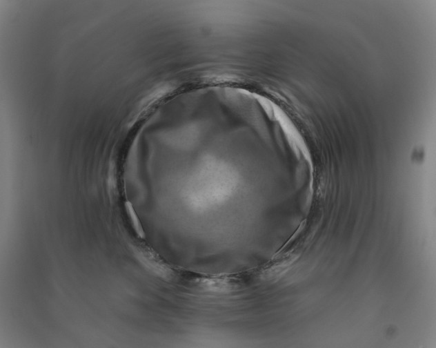 X0000090930524200708201831