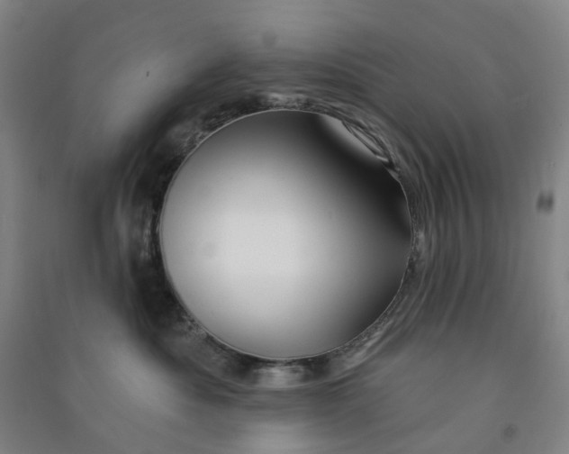 X0000090930525200708201831