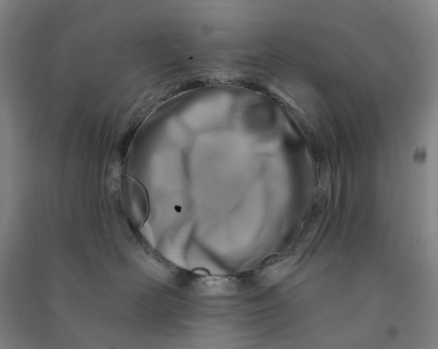 X0000090930526200708201831