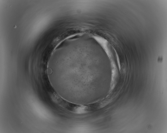 X0000090930527200708201831