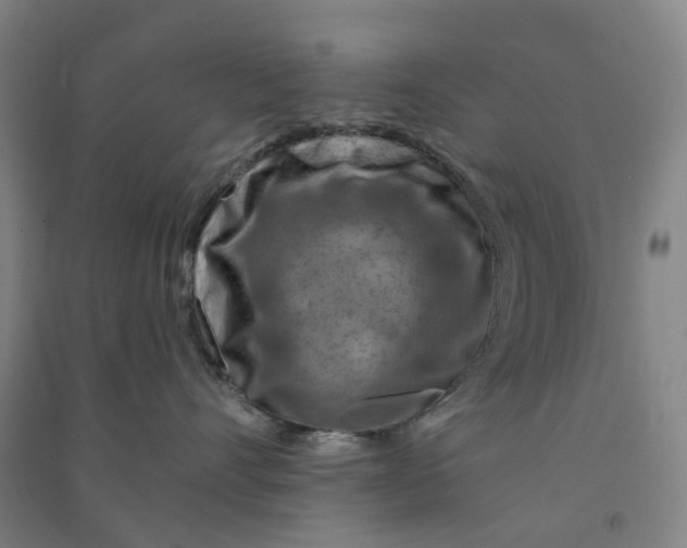 X0000090930528200708201831