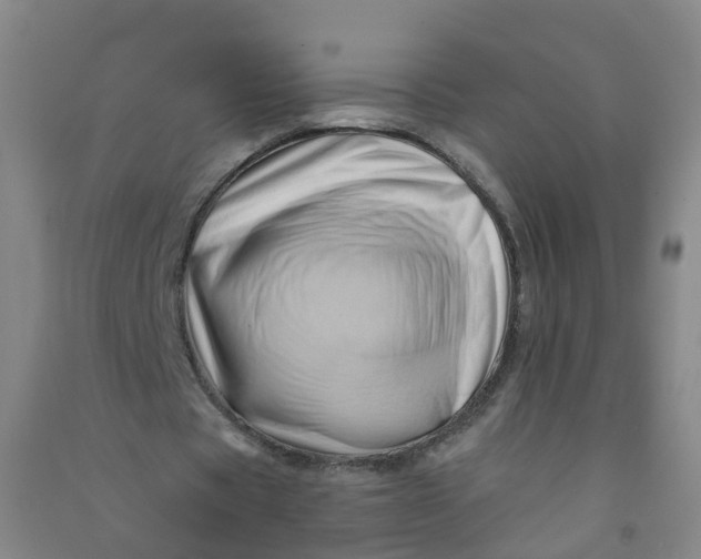 X0000090930529200708201830