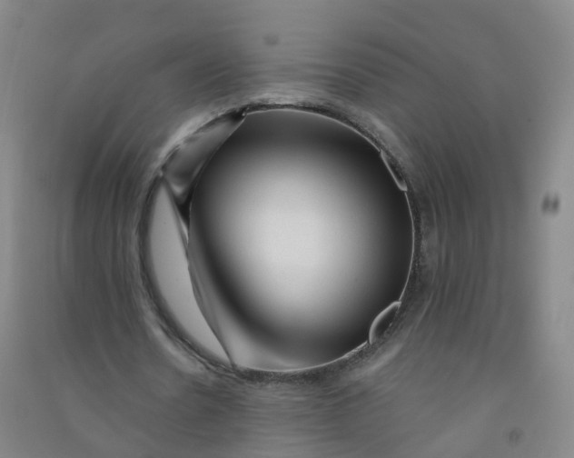 X0000090930530200708201830